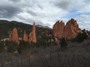 That coloring, it's gorgeous. 