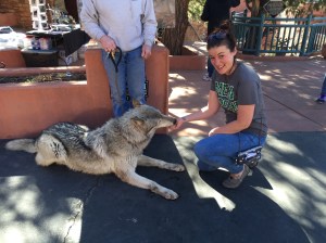 Just giving Ghost a treat, from my bare hand!