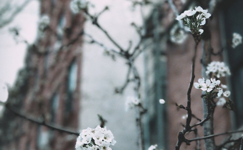 Dear Diary May&nbsp;1997