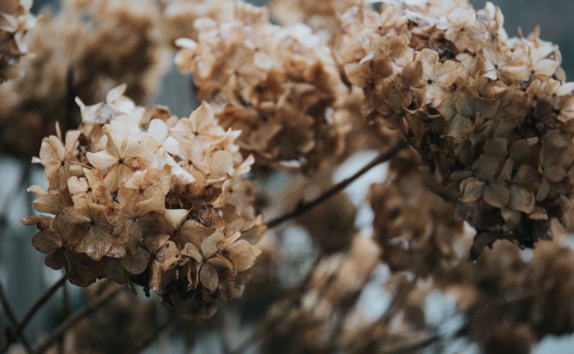 Dear Diary July&nbsp;1997