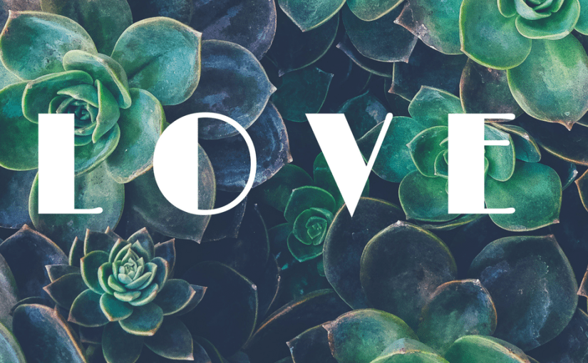 Dear Diary Series: December 1997&nbsp;II