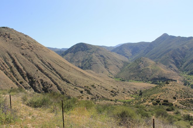 Cedar Creek Falls Trail