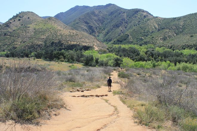 the Hubs hiking Cedar Creek Falls Trail