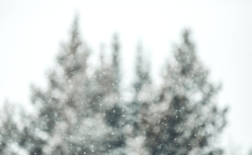 The Difference Between True Belonging & Fitting&nbsp;In