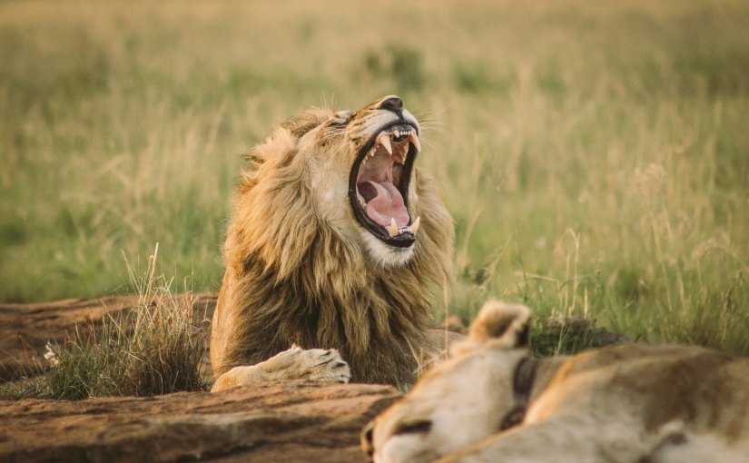 Girl, Routine Can Make Me Neurotic If I’m Not&nbsp;Careful