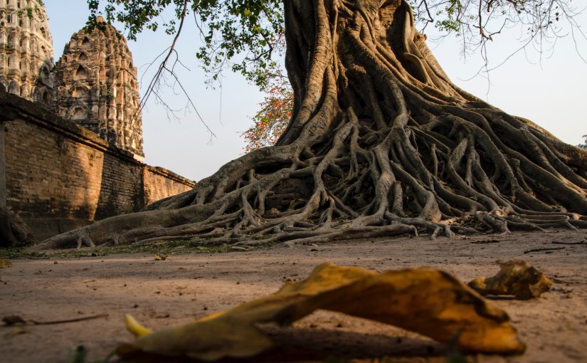 How Do You Stay True To Your&nbsp;Roots?