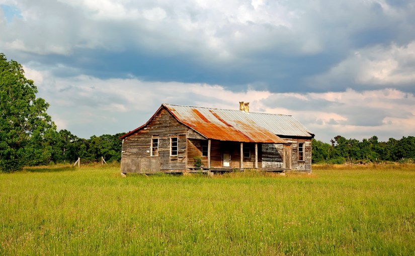 Alabama’s Orange Slice&nbsp;Cookie