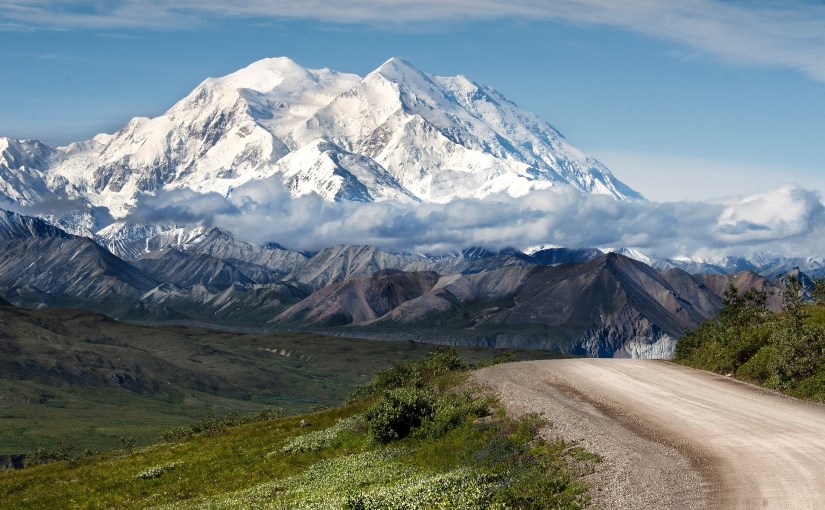 Alaska’s Fruit Cookie
