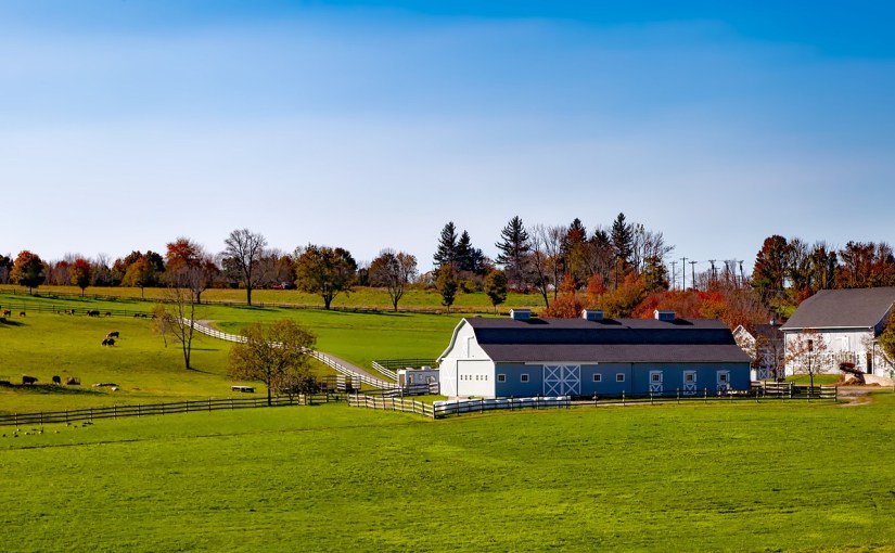 Connecticut’s Raspberry Thimbles