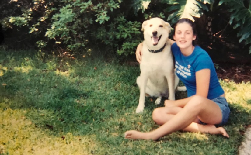 A Sandbox Full of Animals: How Nature Helps Me Name What I Feel & Other Spiritual Guide&nbsp;Discoveries